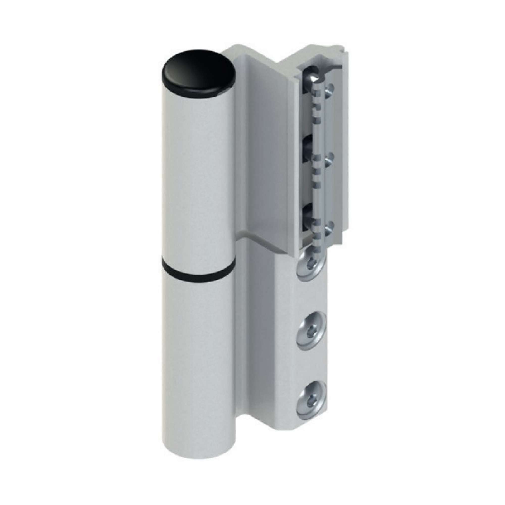 Cerniera a contrasto Celera per porte nodo C001 - C002 - C005 - GIESSE 00681